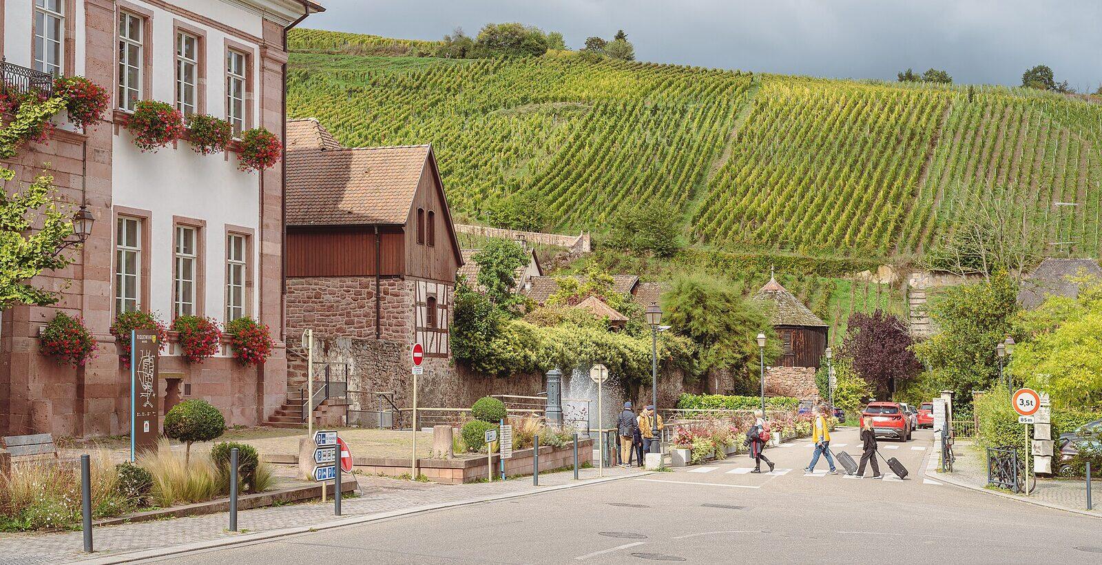 La mairie de Riquewihr au pied des vignes de la route des vins d’Alsace